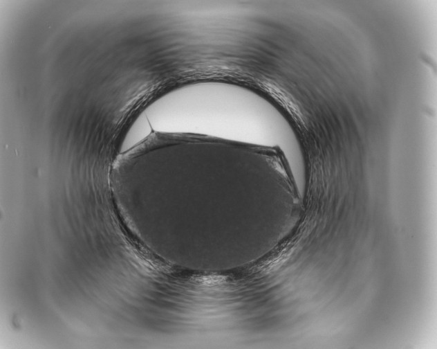 X0000095530501200712281525
