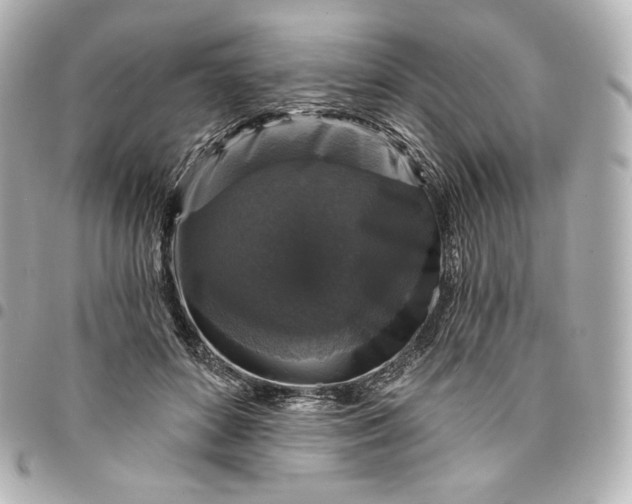 X0000095530504200712281525