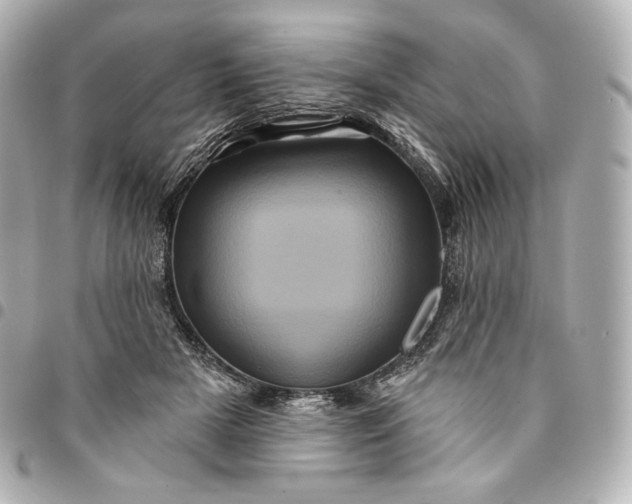 X0000095530505200712281525