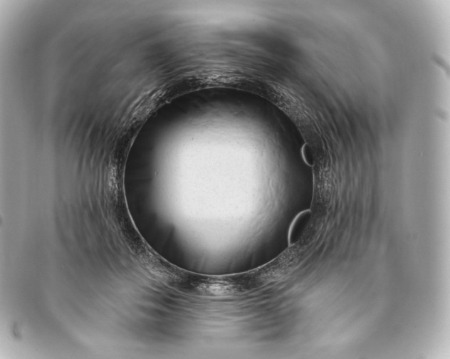 X0000095530506200712281525