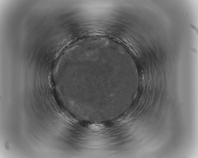 X0000095530508200712281525