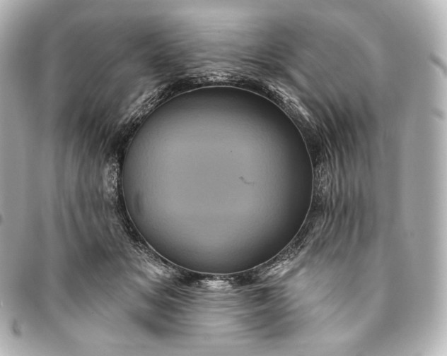 X0000095530509200712281525