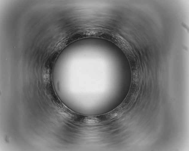 X0000095530510200712281525