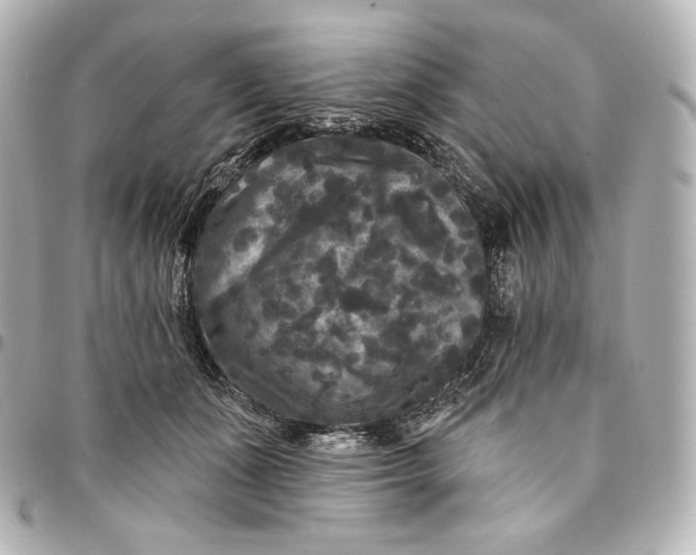 X0000095530511200712281525