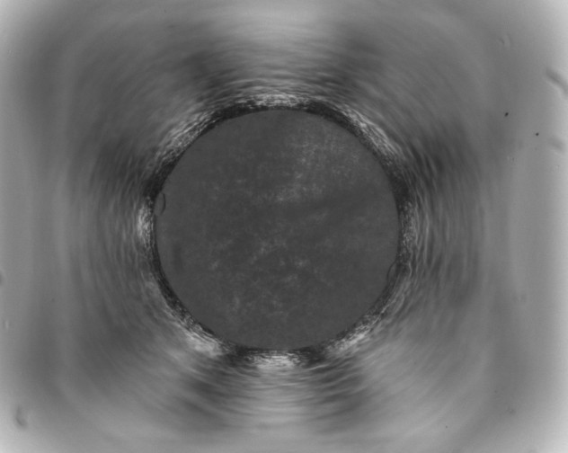 X0000095530513200712281525