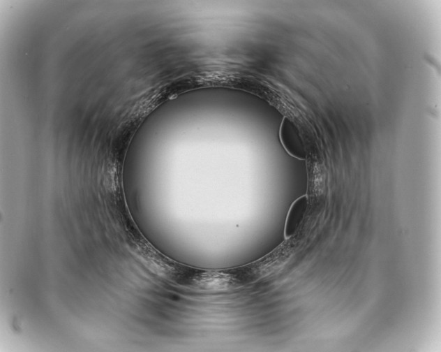X0000095530514200712281525