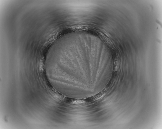 X0000095530515200712281525