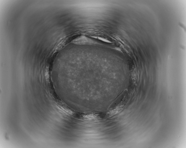 X0000095530516200712281525