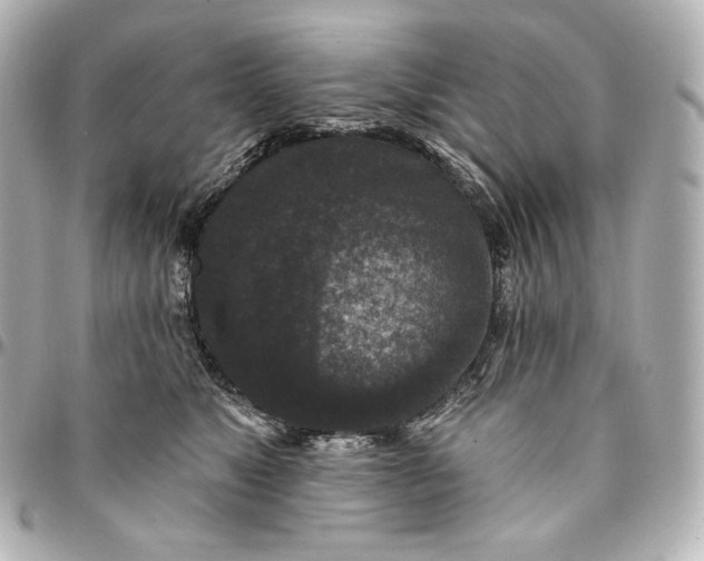 X0000095530517200712281525