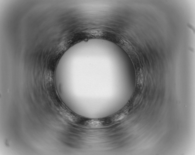 X0000095530518200712281525