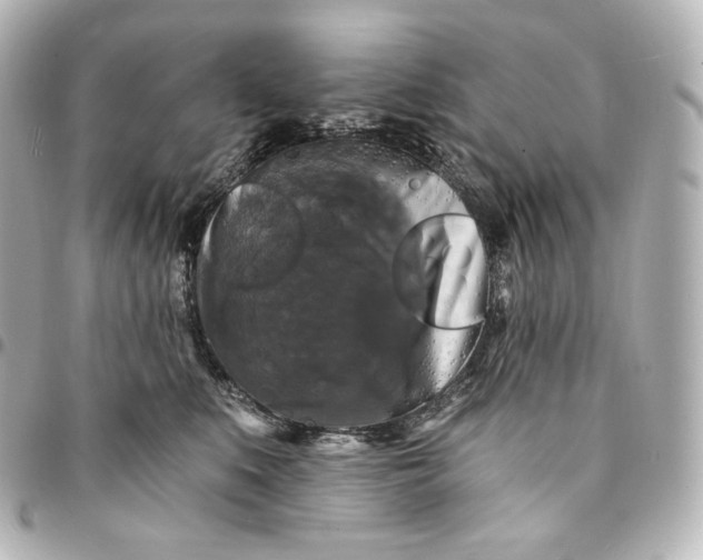 X0000095530519200712281525