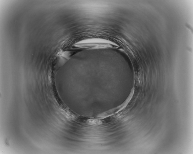 X0000095530520200712281525