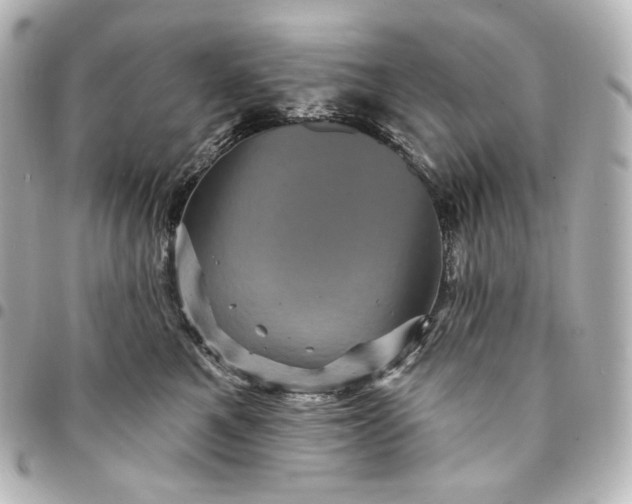 X0000095530521200712281524