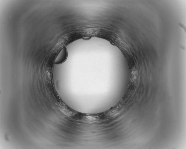 X0000095530522200712281524