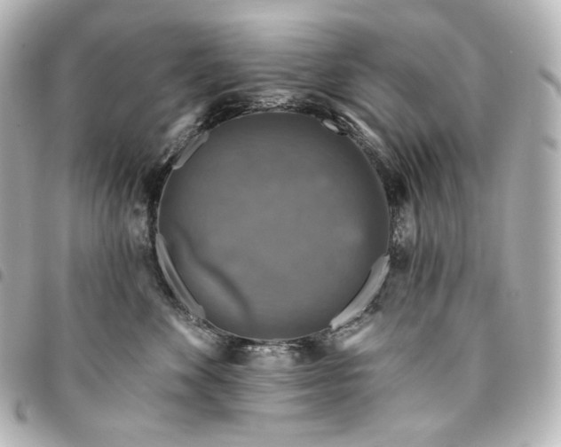 X0000095530524200712281524