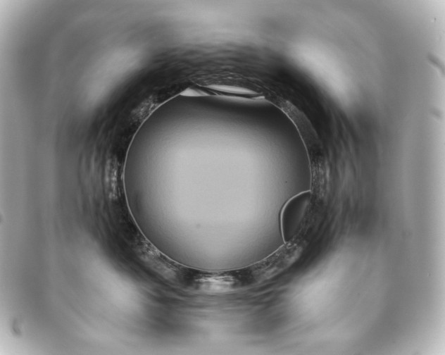 X0000095530525200712281524