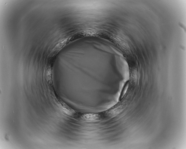 X0000095530526200712281524
