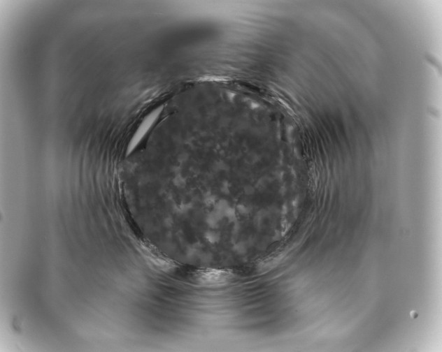 X0000095530527200712281524