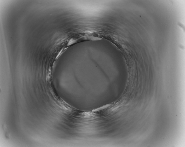 X0000095530528200712281524
