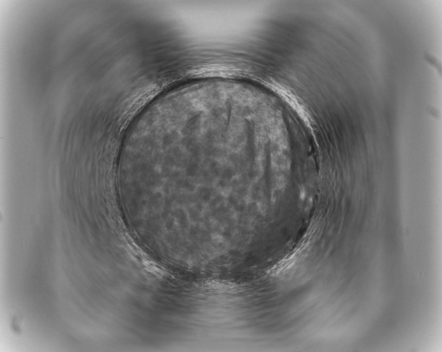 X0000095530529200712281524