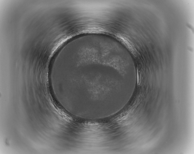 X0000095530531200712281524
