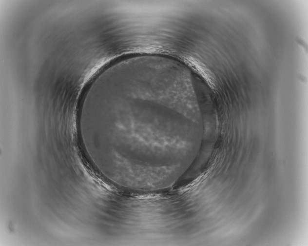 X0000095530532200712281524