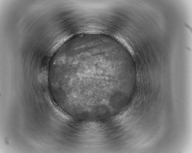 X0000095530533200712281524