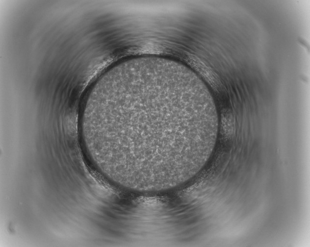X0000095530534200712281524
