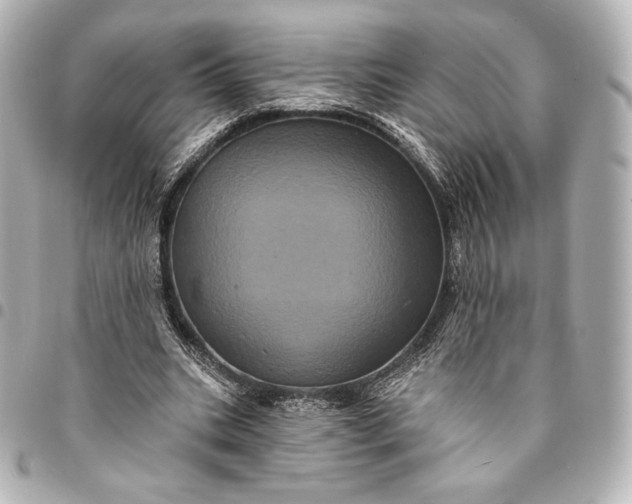 X0000095530535200712281524