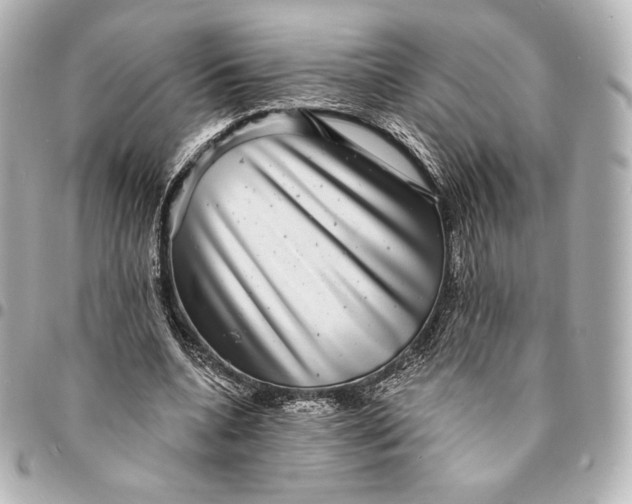 X0000095530536200712281524