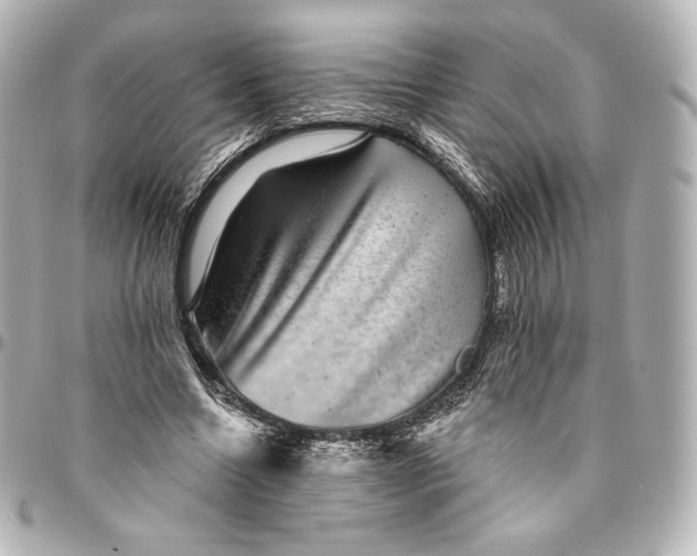 X0000095530538200712281524