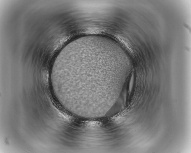 X0000095530539200712281524