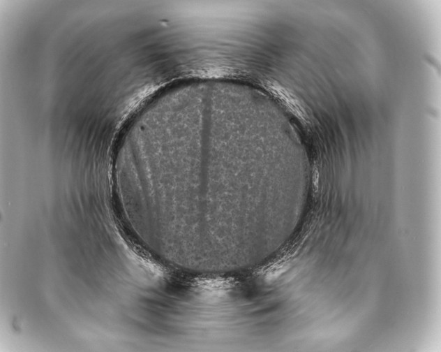 X0000095530540200712281524