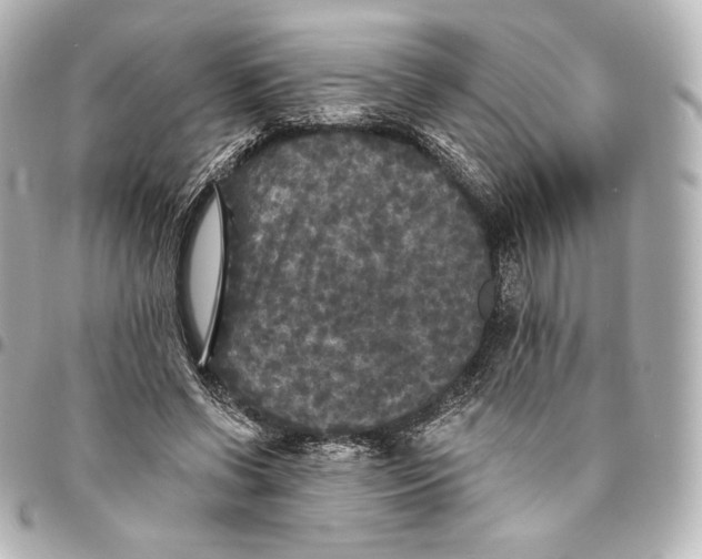 X0000095530542200712281524