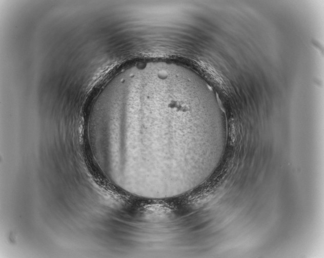 X0000095530544200712281524