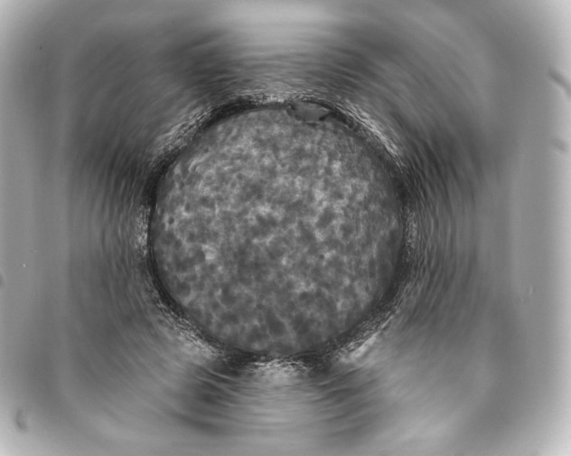 X0000095530545200712281524
