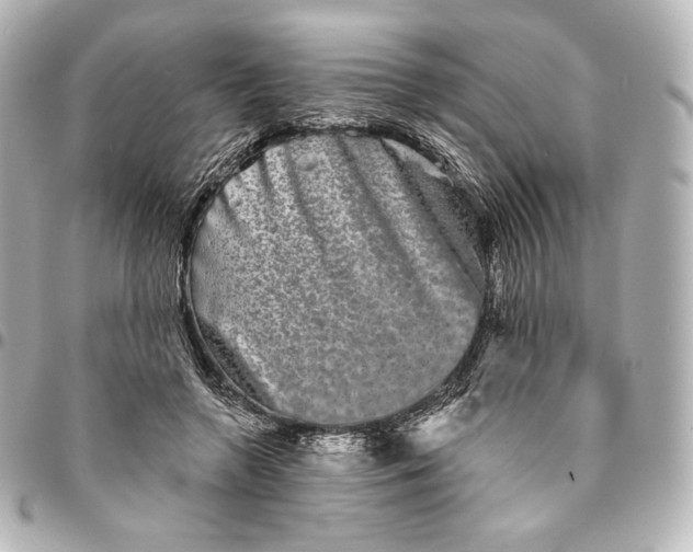 X0000095530546200712281524