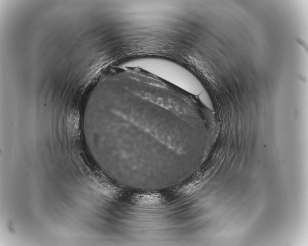 X0000095530548200712281524