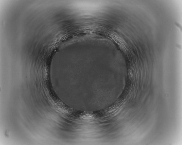X0000095530551200712281524