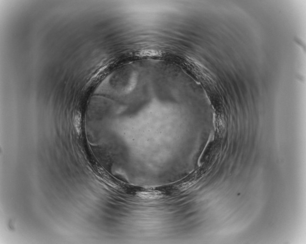 X0000095530556200712281524