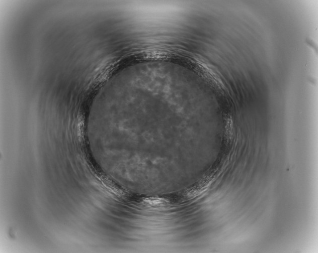 X0000095530557200712281524