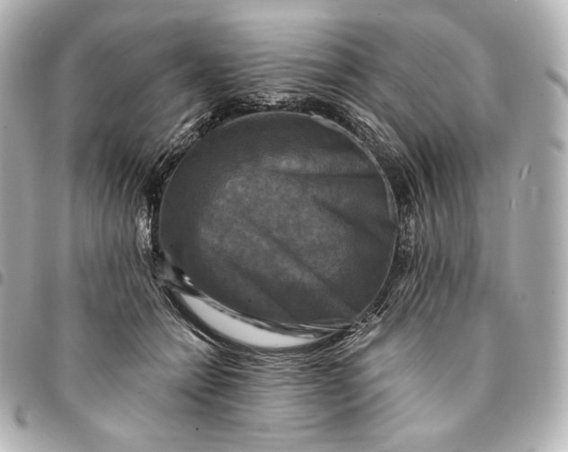 X0000095530558200712281524