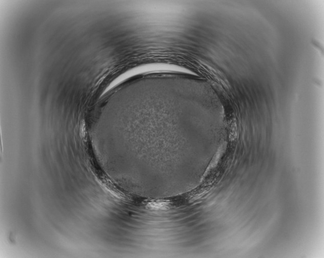 X0000095530560200712281524