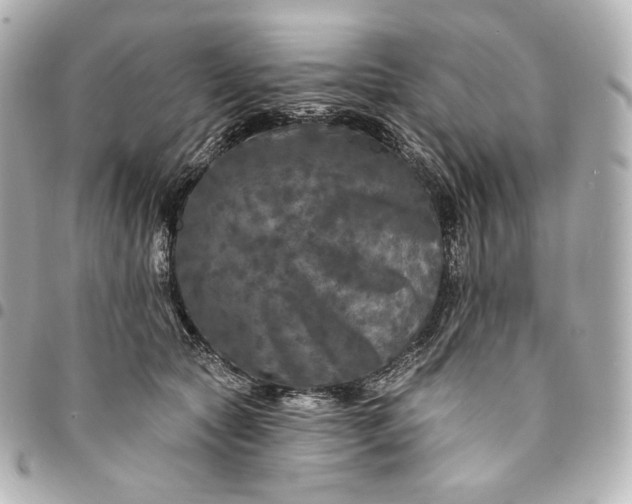 X0000095530561200712281524