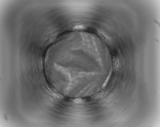 X0000095530562200712281524