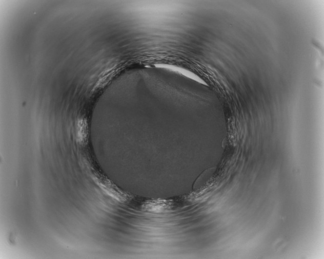 X0000095530563200712281524