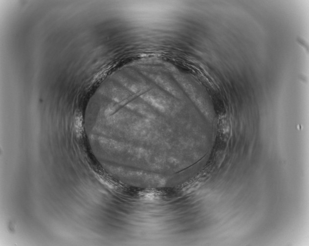 X0000095530564200712281524