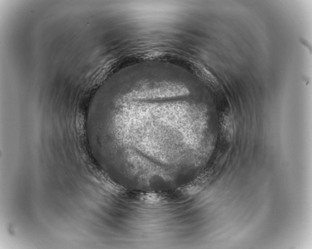 X0000095530565200712281524