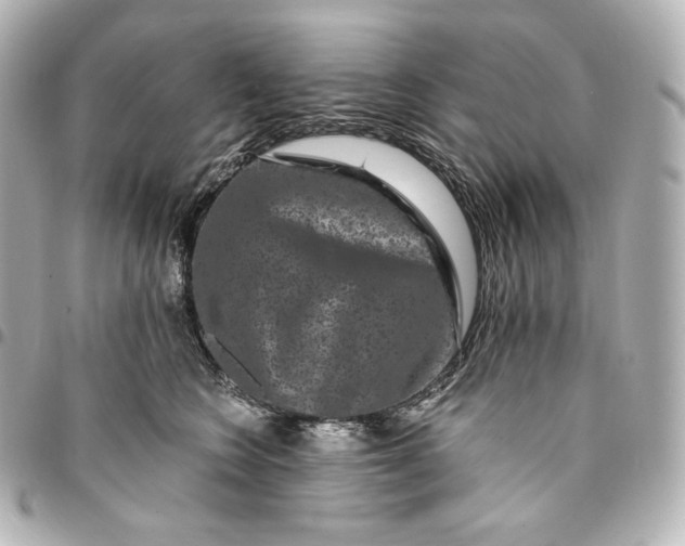 X0000095530566200712281524