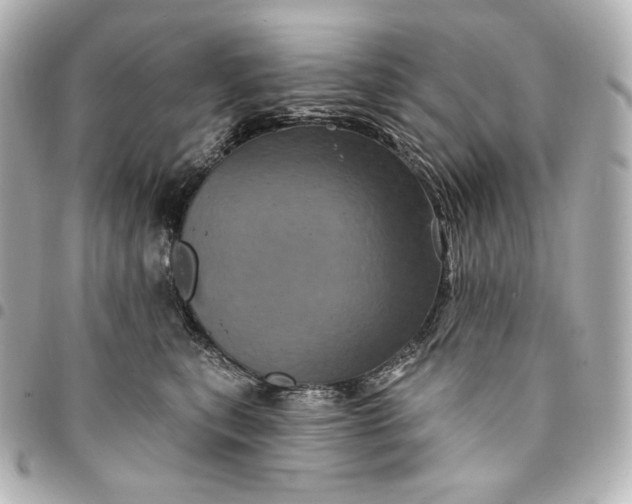 X0000095530567200712281524
